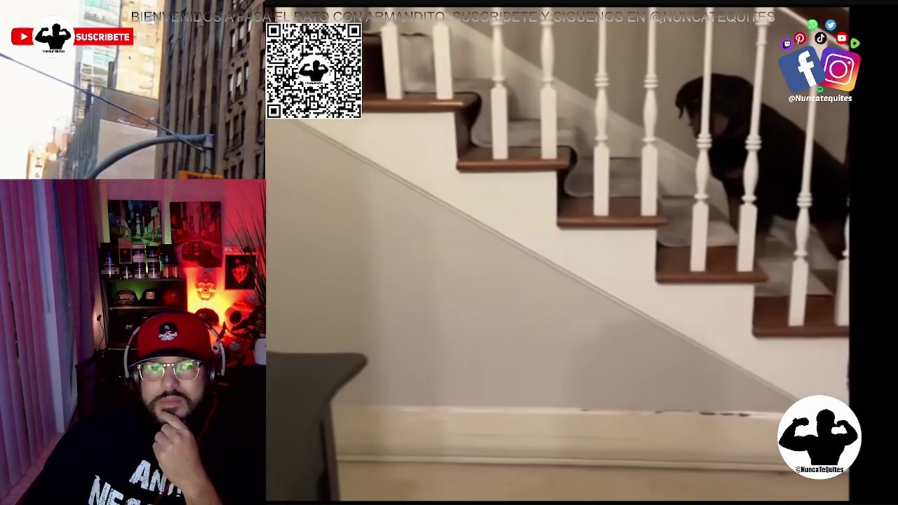 No, por favor, señor fantasma, no me persiga 🥺 VIDEO REAL