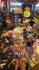 Dine with Koi Fish: Unique Floating Capsule Restaurant | Hydroponic Strawberry Experience