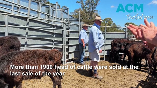 Local hub to regional powerhouse: the plan to secure Bega Saleyards’ future