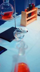 Mi familia ingrata me arrojó al fuego, renací… y ahora se arrodillan suplicando por sus vidas!