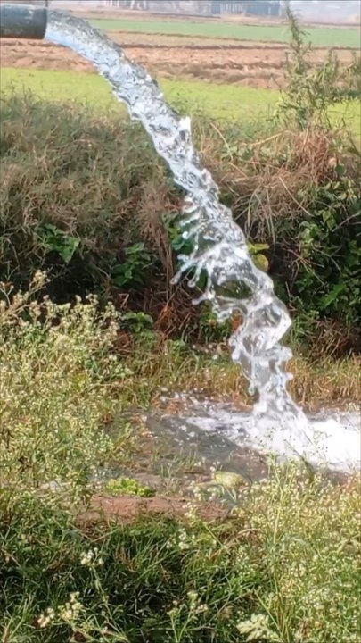 water,,,,,,