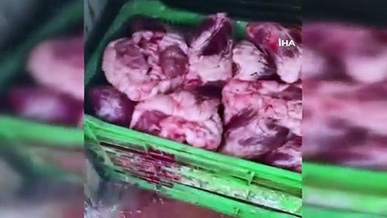 Her gün yeni bir zehirlenme vakası yaşanırken... Bu görüntüler mide bulandırdı