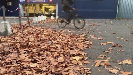 Les feuilles mortes de l'automne, qui s'en occupe ?