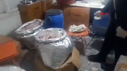 İstanbul'da Jandarma tarafından düzenlenen uyuşturucu operasyonunda 6 kişi yakalandı