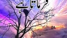اے اللہ ہمارے ہر کام میں برکت عطا فرما اور اپنی فضل سے اسے مزید نواز ے۔ اے اللہ! ہمارے تمام کاموں میں اخلاص اور توفیق عطا فرما۔ اے اللہ! ہم تجھ سے دنیا اور آخرت میں عفو و عافیت اور معافی کا سوال کرتے ہیں ہمیں معاف فرما۔ آمین یا رب العالمین ♥️♥️♥️♥️♥️♥️♥️♥