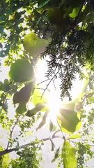 Fleeing Husband Please Love Me All Over Again | Full Movie HD - Best Drama ShortFilms Hot Romance Love