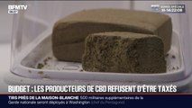 Budget: les producteurs et revendeurs de CBD redoutent une hausse des taxes