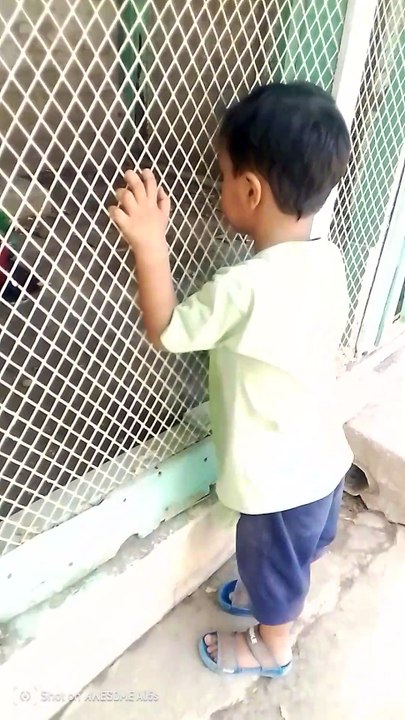 pir jo goth sindh pk
