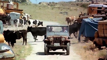 EL FELINO  Película Completa de Acción y Artes Marciales en Español