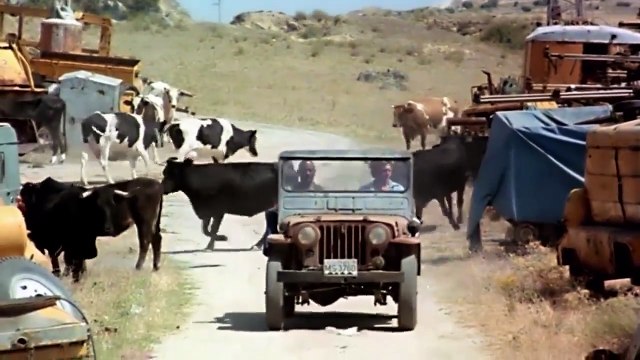 EL FELINO Película Completa de Acción y Artes Marciales en Español