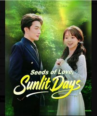 Seeds of Love Sunlit Days Chinese Drama - English Sub