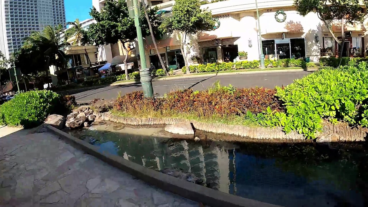 THE PREDICTIVE ANALYST Hawaii Travel GoPro