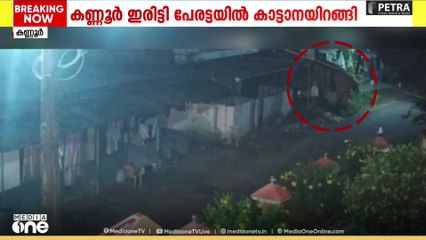 കണ്ണൂർ ഇരിട്ടി പേരട്ട ജനവാസ കേന്ദ്രത്തിൽ കാട്ടാന ഇറങ്ങി
