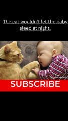 Cat’s disturbing sleep baby
