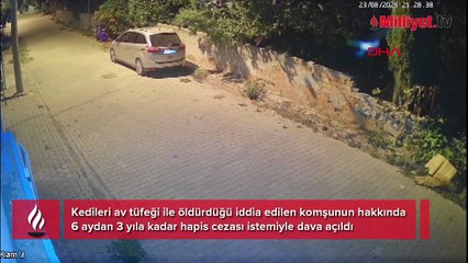 Gizli kamera görüntüleri vahşeti ortaya çıkardı: 7 yıldır sistematik olarak öldürüyor