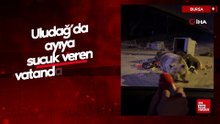 Uludağ’da ayıya sucuk veren vatandaş saldırı tehlikesi yaşadı