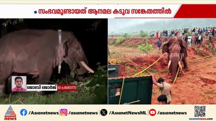 റോളക്‌സ് ചരിഞ്ഞത് എങ്ങനെ? കാട്ടാന ചരിഞ്ഞതിൽ അന്വേഷണത്തിന് തമിഴ്‌നാട് വനംവകുപ്പ്