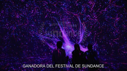 Mi mitad perdida - Tráiler VOSE