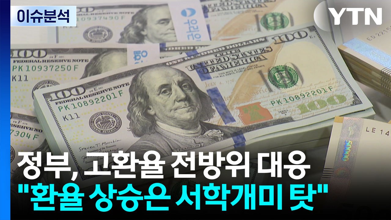 "서학개미 환율 상승 요인"...투자액이 얼마길래? / YTN