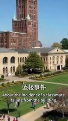 TORN BETWEEN LOVE AND LIES- Drama FULL MOVIES ENGLISH SUB