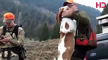 ShowTime Vault FX: Legendary Dall Sheep Hunt — Wild Meat Hunter Season 2 Full