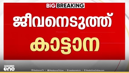 സംസ്ഥാനത്ത് വീണ്ടും കാട്ടാന ആക്രമണത്തിൽ ജീവൻ പൊലിഞ്ഞു, മരിച്ചത് ജാർഖണ്ഡ് സ്വദേശി