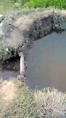 This content for evryone