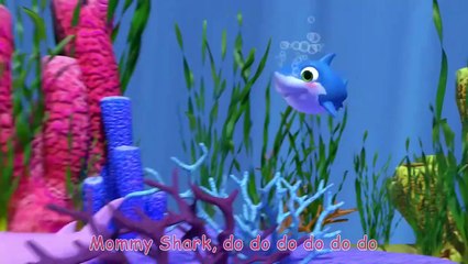 Baby Shark 2 (Hide and Seek Version) - KidTv Nursery Rhymes & Kids Songs