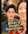 Bricks of Secrets Bond of Love Chinese Drama - English Sub