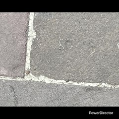 AHORA NO ME LLOREN ARGENTINOS LOS QUIERO PERO USTEDES QUERÍAN COPA  DEL MUNDO SE LA REGALARON Y SU PAÍS MUY MAL AGUÁNTENLA DECIDIERON ESO AGUÁNTENLA Y NO ME LLORE CABRON