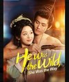 He Was the Wild She Was the Way Chinese Drama - English Sub