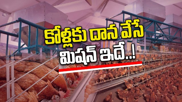 Poultry India expo 2025: 5000 వేల కోళ్లకు 10 నిమిషాల్లో దాన వెయ్యొచ్చు..! | Oneindia Telugu