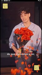 Domando a mis bullies en Español