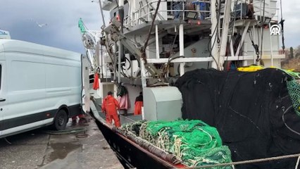 Balıkçılar Yüzünü Güldüren Av: 600 Kasa İstavrit