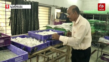 "એરંડાના પાનમાંથી બનશે રેશમ, ઈયળ ખેડૂતોને બનાવશે લખપતિ" દાંતીવાડાના કૃષિ વૈજ્ઞાનિકે કરી મહત્વપૂર્ણ શોધ