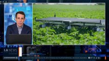 Samy Dana: IA transforma agricultura nos EUA | IA News
