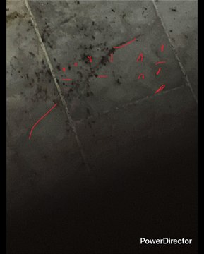 TELÉFONO Y ESPEJO ABRE DIMENSIONES TE COMUNICA CON OTROS MUNDOS TELÉFONO SE INVENTÓ (GRAHAM BELL) PARA COMUNICAR CON OTRAS DIMENSIONES Y LO QUE ME PASÓ HACE UNAS SEMANAS UFF NO ENTENDÍ NADA PERO ESTABAN HABLANDO Y DESCONECTADO EL TELÉFONO WOW