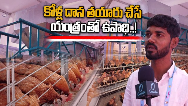 Poultry India expo 2025: 2 లక్షల పెట్టుబడితో మంచి లాభం..! | Oneindia Telugu