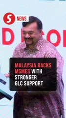 Government scales up support for MSMEs via strategic GLC partnerships, initiatives - Amir Hamzah