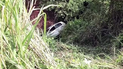 Motorista de Aplicativo: Caso de Assassinato de José Luciano da Silva Honorato - Detalhes do Crime, as Acusações e o Pedido por Justiça