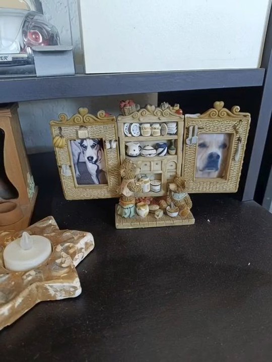 Quand youki rencontre maya