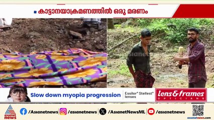 കാട്ടാനക്കലിയില്‍ ടാപ്പിങ് തൊഴിലാളിക്ക് ദാരുണാന്ത്യം, സംഭവം നിലമ്പൂര്‍ അരയാട് എസ്റ്റേറ്റില്‍