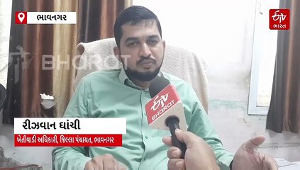 ભાવનગરમાં પાક નુકશાની સહાયનો પ્રારંભ, 600 ખેડૂતને 1.98 કરોડ આપવા શ્રીગણેશ