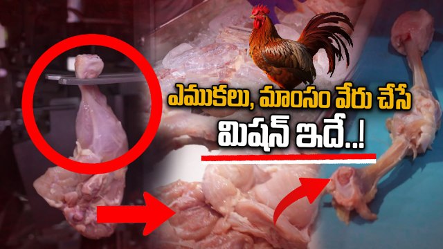 Poultry India expo 2025: 5 నిమిషాల్లో ఎముక, మాంసం వేరు చేసిన మిషన్..! | Oneindia Telugu