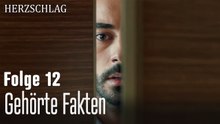 Gehörte Fakten-Herzschlag Folge 12