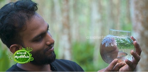 അപൂർവ മത്സ്യങ്ങളുടെ കൃഷിയുമായി ജോജി