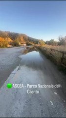 Europa Verde Salerno  - #Ascea #AsceaMarina #Cilento #Salerno #Campania  (27.11.25)