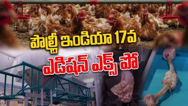 Poultry India expo 2025: కొనసాగుతూన్న పౌల్ట్రీ ఇండియా ఎక్స్ పో | Oneindia Telugu
