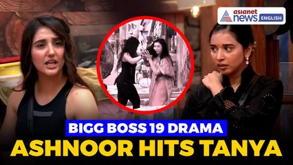 Bigg Boss 19 Task Turns Ugly: Did Ashnoor Kaur Deliberately Hit Tanya Mittal With a Plank?
