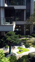 My Revenge Marriage With The Richest Full Movie Eng Sub Chinese Drama